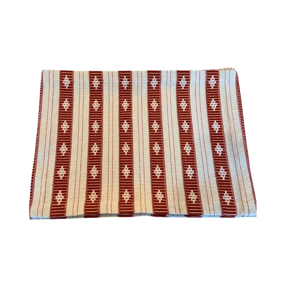 LIKE NEW Crate&Barrel Eliana Placemats in Spice - Set of 6